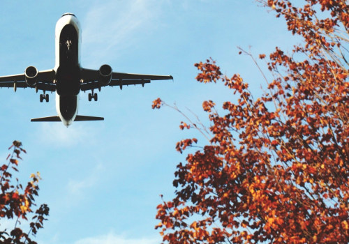 The Future of Travel: An Expert's Perspective
